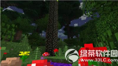 �ҵ�����ĺɫɭ����ôȥ �ҵ�����ĺɫɭ�ֽ��뷽��3