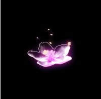 �λ�����2�һ�����/ѩ��Ʈ�����Ǯ �һ�����/ѩ��Ʈ��ͼƬ����