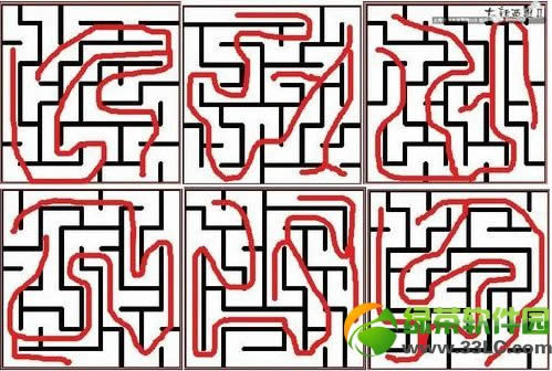 ������2�Թ�Ѱ������ �Թ���ͼ·�߼��Թ��𰸽���