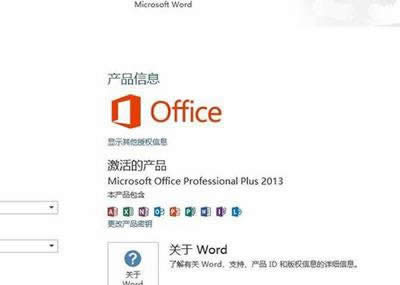 office2013ɾ