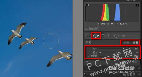 adobe photoshop lightroomƽ۵ɾͼ˵̳