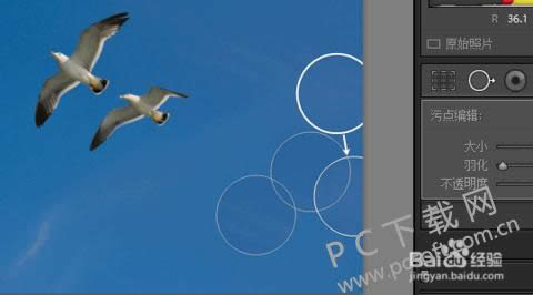 adobe photoshop lightroomƽβüƬ