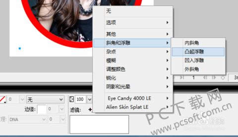 fireworks cs6ѰʱЧ