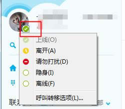 SkypeһЩ״̬ʲô˼