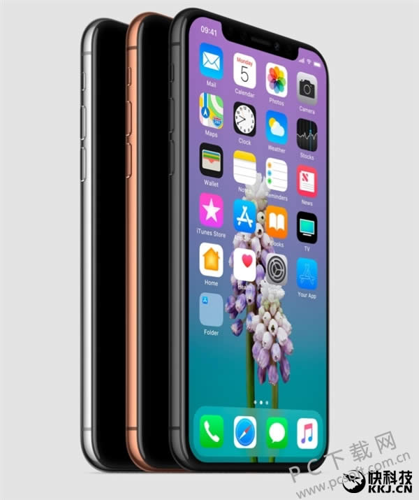 iPhone Xױճ¯ 3ɫȷ 13賿һЩڴɣ