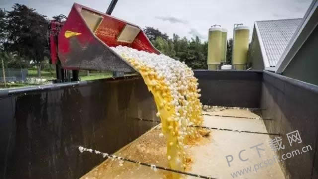 欧洲被爆毒鸡蛋丑闻 7个国家受到影响 网友:在外国吃个鸡蛋都不放心!