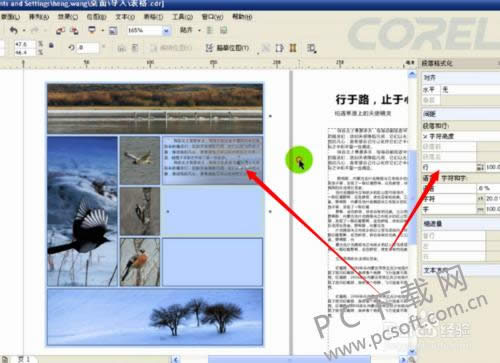 cdrx4(CorelDraw X4)кcoreldrawôŰ棿