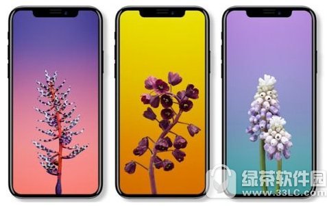 iPhonex¼һЩ iPhonex¼ɴȫܽ