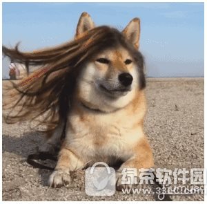lumyerʹ lumyerͼ˵̳(ͼ)