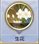 ��ʥ��ʿ��ʸ�������������������ݴ����Ƽ�