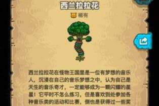 ���ڰ���������ϡ�й���ô��