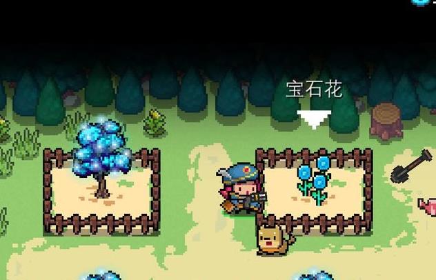 ��Ԫ����ʿ��ȫ�����ӻ�÷���