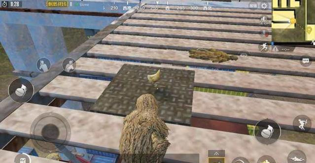 ���������̼�ս�����ץ��20ֻ��_���������̼�ս���ۼ�ץ��20ֻ��������