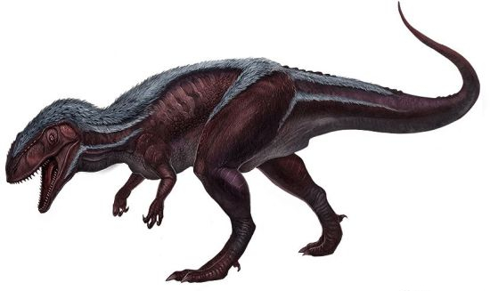 ���������������ѱ������_������������������ѱ��