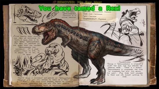 ������������������γ���ѡ���Ƽ�