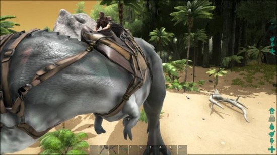 ������������������γ���ѡ���Ƽ�