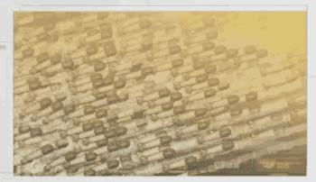 ���������ߡ��������ϼ�