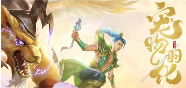 �ʵ�����3��15�ո�����ʲô_�ʵ�����3��15�ո���ά������