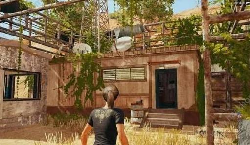 �����������̼�ս������԰����