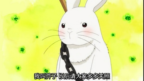 ����ʦ���������_����ʦ�������Խ���