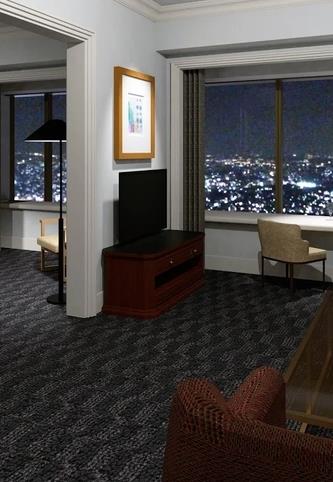 ����������ա�ͼ�Ĺ��Դ�ȫ