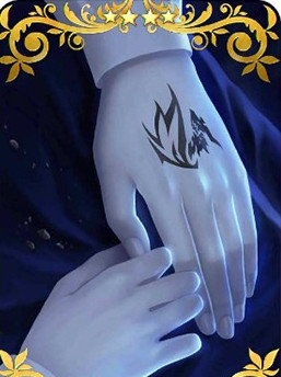 FGOװ֮_FGOװ֮