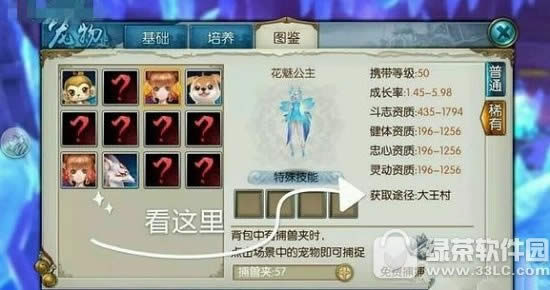 ��������ϡ�г�����ô�� ��������ϡ�г��ﲶ׽����3