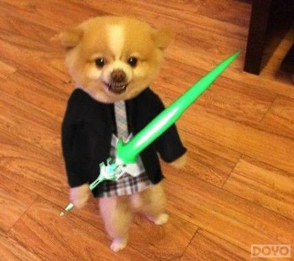 ���ӭ���� ��������˫��ȫ�°��淨���ع�_��վ