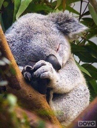 ��������˫�����ϴ��Я����ȫ���淨�𺳵ǳ�_��վ