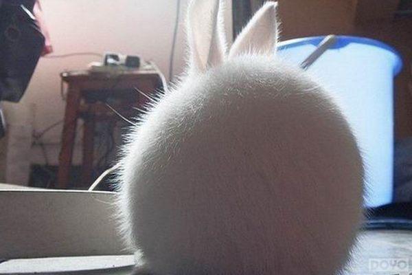 ����������������֪ʶ��ΤС����ܳ���!_��վ