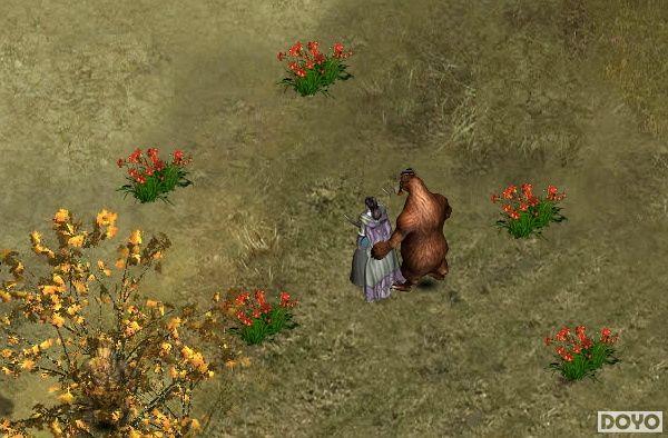 �˲��ϲ���37wan�����ṦƮ��������_��վ