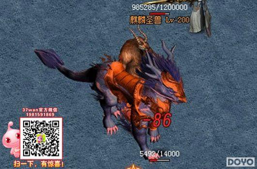 �������£�37wan�����𡷾Ż�������Ǭ��_��վ