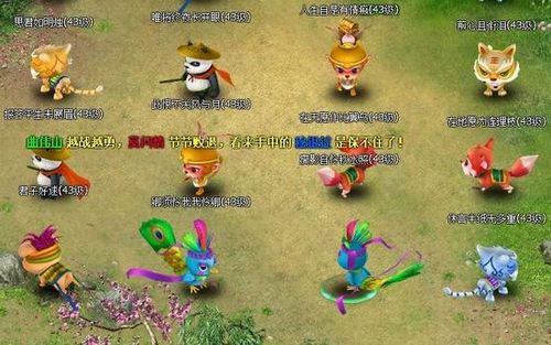 �ǻ���ʵ��915��Ӣ��Զ���������һ�Դ_��վ