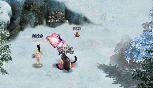 ����󽫾����� 91wan���������桷���������ѡ��